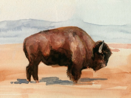 Picture of GRAZING BISON II