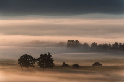 Picture of DENSE FOG OVER THE MOOS...