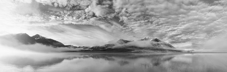 Picture of MORNING MIST