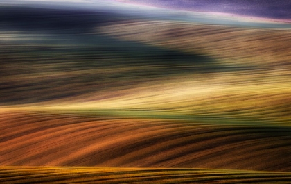 Picture of AUTUMN FIELDS