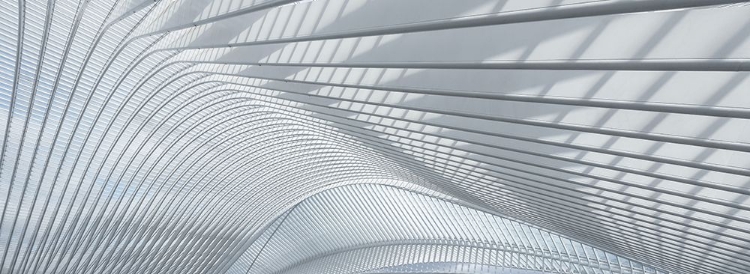 Picture of GUILLEMINS