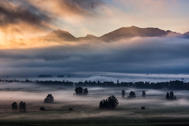 Picture of AUTUMN MORNING...