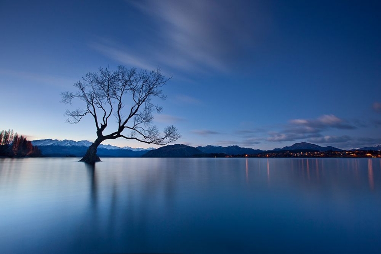 Picture of WANAKA TWILIGHT