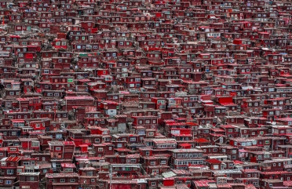 Picture of RED HOUSES