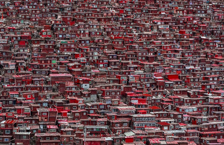 Picture of RED HOUSES