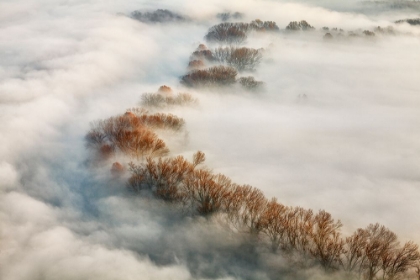 Picture of FOGGY VALLEY