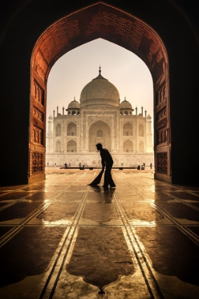 Picture of TAJ MAHAL CLEANER