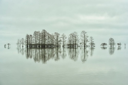 Picture of LAKE-SHORE LINEUP BEAUTY