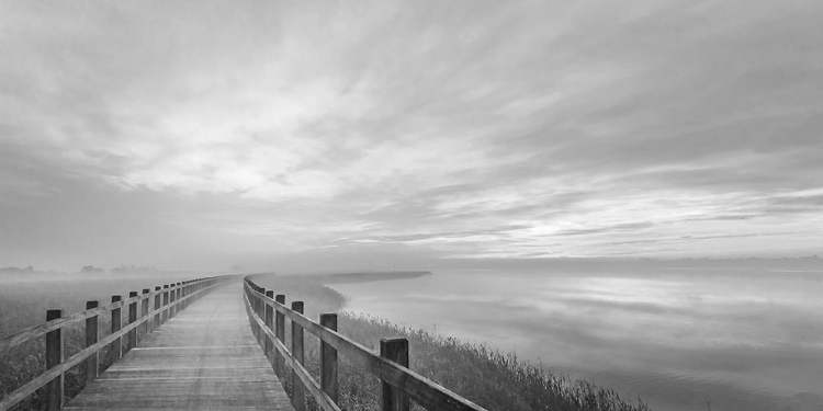 Picture of THE LONG WOODEN FOOTBRIDGE.