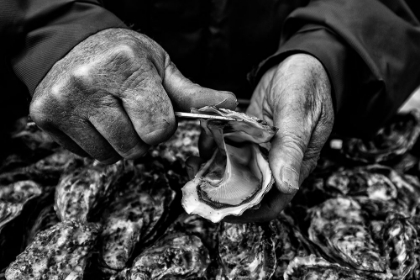 Picture of LOSTREICULTEUR Q OYSTER FARMERQ