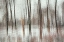 Picture of COLD