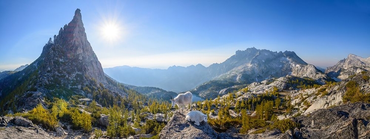 Picture of ENCHANTMENT: PRUSIK PASS PANORAMA