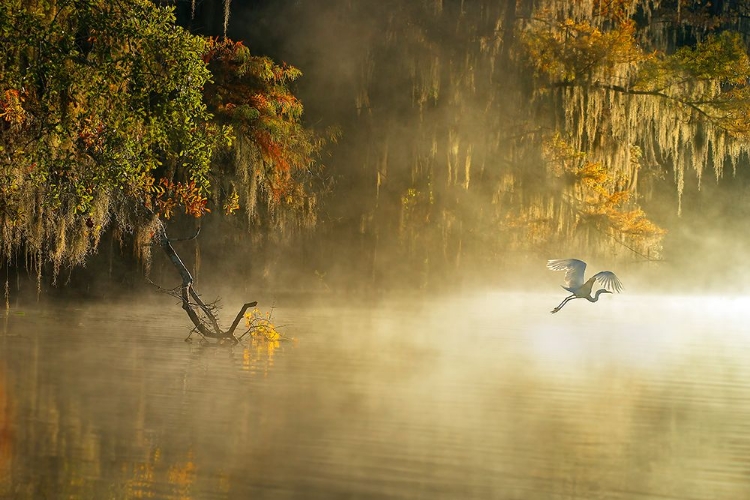 Picture of EGRET