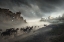 Picture of MIGRATION