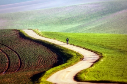 Picture of BICYCLIST