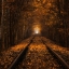 Picture of AUTUMN TUNNEL