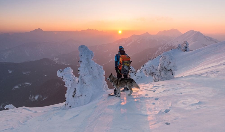 Picture of SNOWBOARDER AND HIS DOG