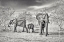 Picture of DRY SEASON (BW)