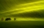 Picture of SUNLIGHT