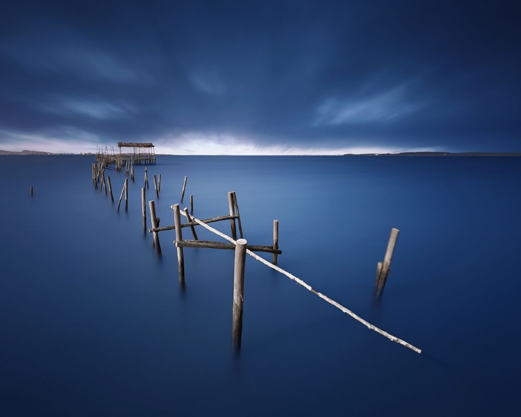 Picture of CARRASQUEIRA AZUL