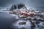 Picture of WINTER LOFOTEN ISLANDS