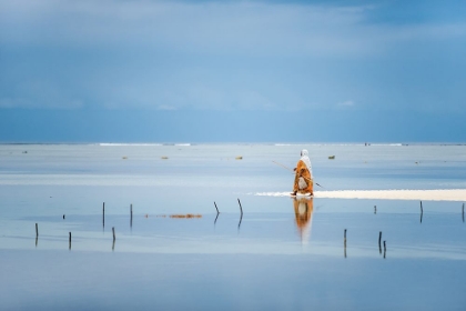 Picture of LOW TIDE