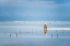 Picture of LOW TIDE