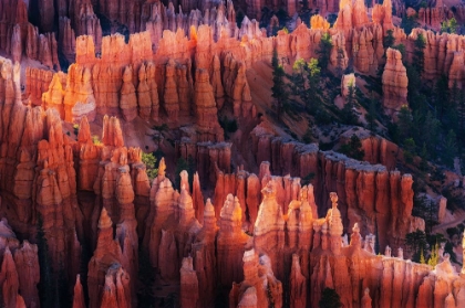 Picture of BRYCE CANYON AT SUNSET