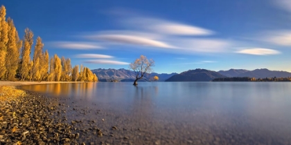 Picture of AUTUMN IN LAKE WANAKA