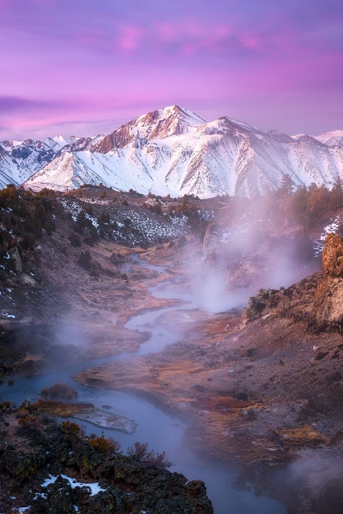 Picture of PINK EASTERN SIERRA