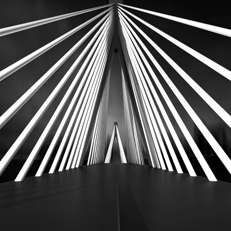 Picture of BIG STRING BRIDGE