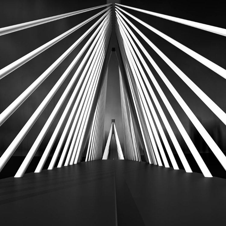 Picture of BIG STRING BRIDGE