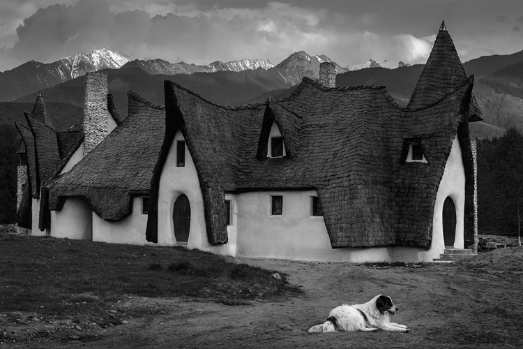 Picture of FANTASY COB CASTLE FROM TRANSYLVANIA