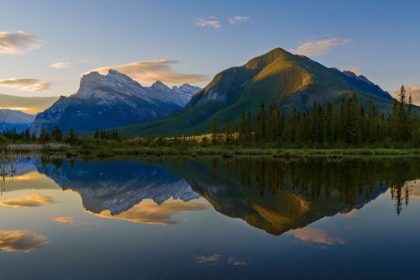 Picture of QUIET SUMMER MORNING