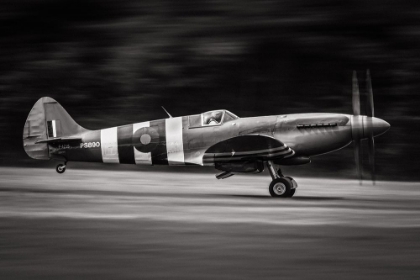 Picture of SPITFIRE MK XIX