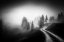 Picture of IN THE MOUNTAINS