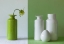 Picture of EMPTY VASES
