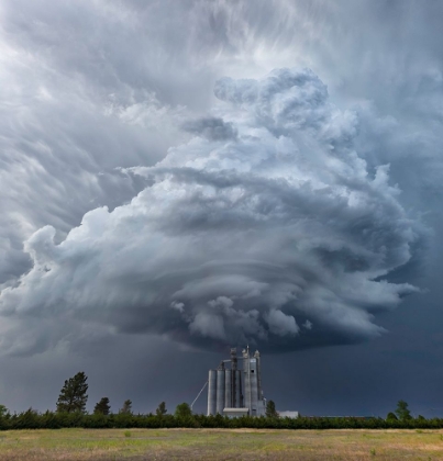 Picture of MESOCYCLONE