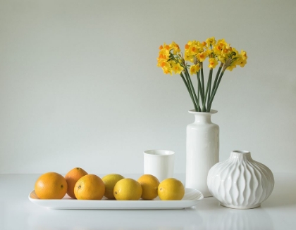 Picture of JONQUILS AND CITRUS
