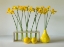 Picture of THE FRESHNESS OF SPRING