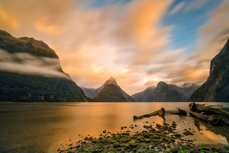 Picture of MILFORD SOUND