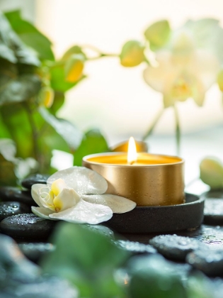 Picture of ZEN ORCHID AND CANDLE