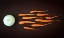 Picture of VEGETABLE REPRODUCTION