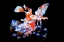 Picture of HARLEQUIN SHRIMP