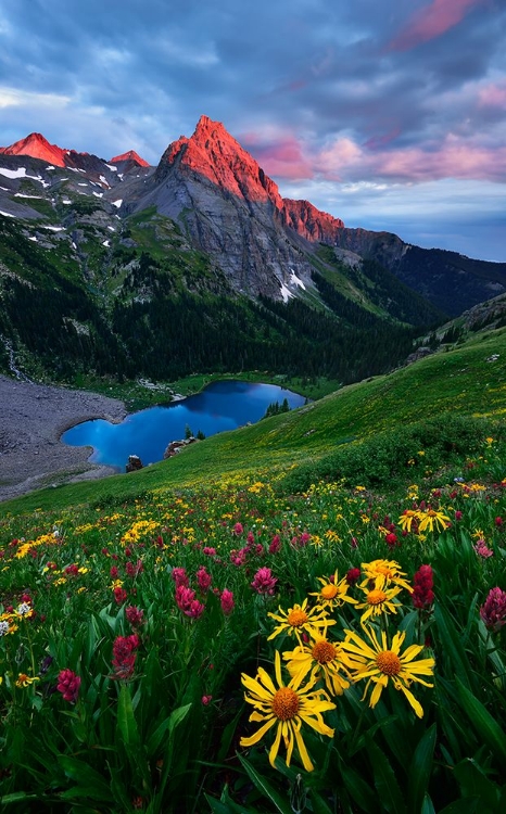 Picture of COLORFUL COLORADO