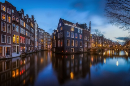 Picture of BLUE AMSTERDAM