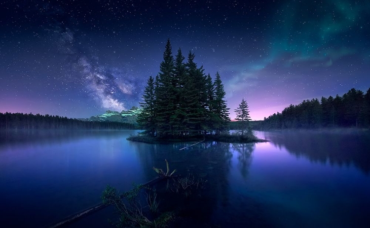 Picture of DREAMY NIGHT