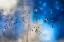 Picture of BLUE RAIN