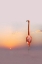 Picture of SUNSET ...