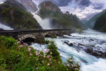 Picture of LAYTEFOSSEN